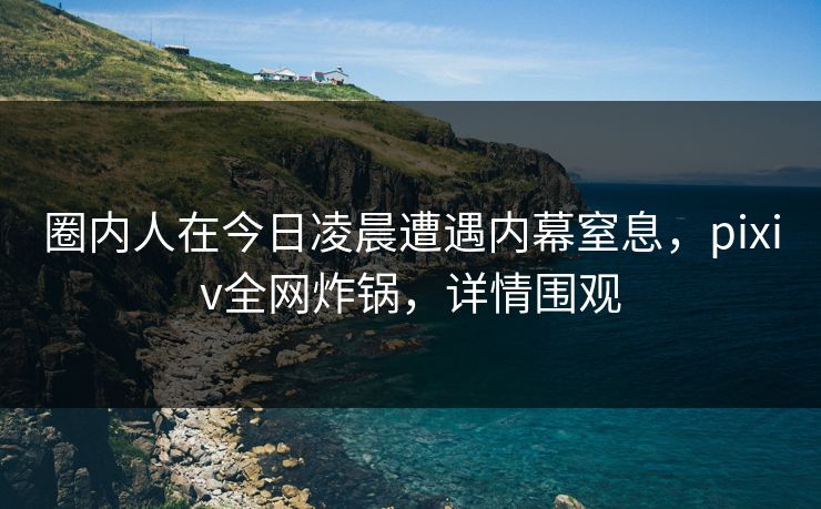 圈内人在今日凌晨遭遇内幕窒息，pixiv全网炸锅，详情围观